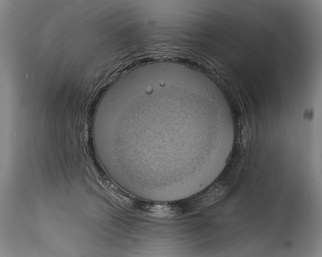 X0000114640562200911101301