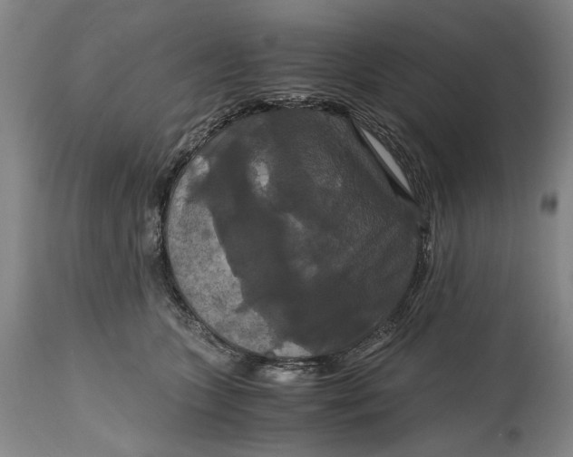 X0000114640563200911101301
