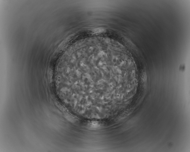 X0000114640565200911101301