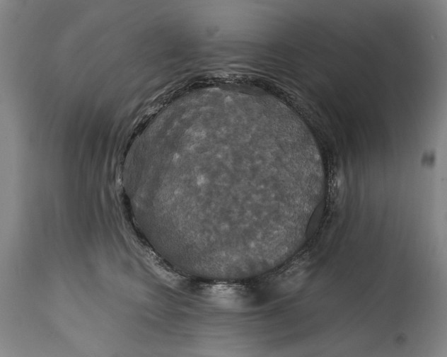 X0000114640566200911101301