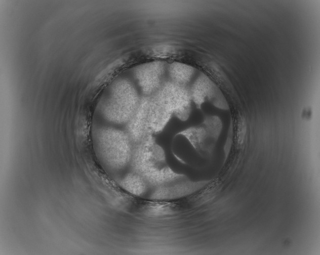 X0000114640569200911101301