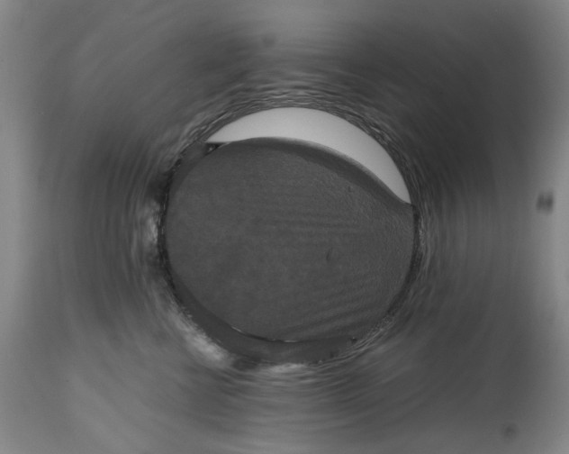 X0000114640570200911101301