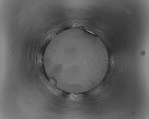 X0000114640571200911101301