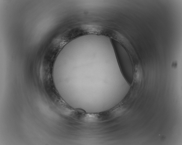 X0000114640573200911101301