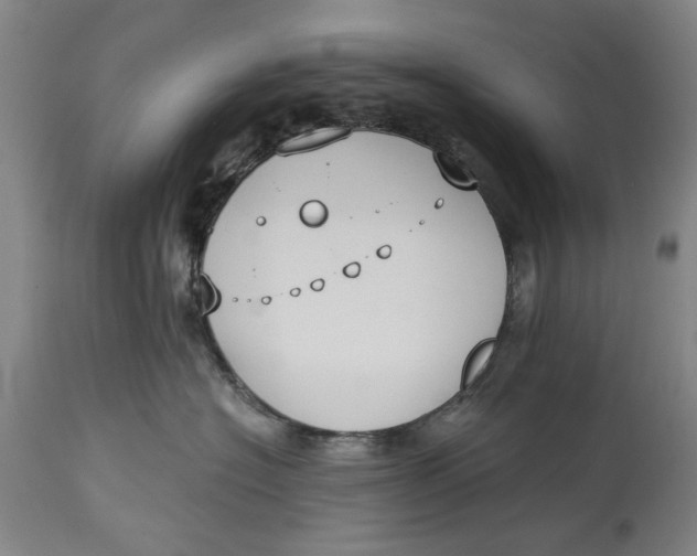 X0000114640574200911101301