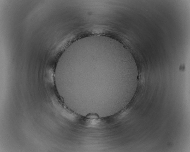 X0000114640575200911101301
