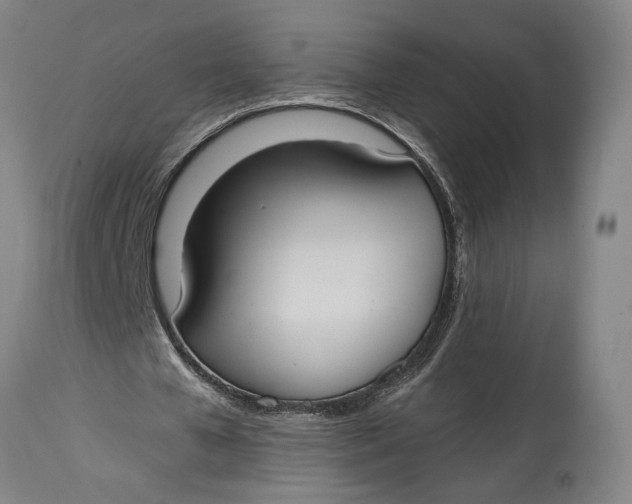 X0000114640577200911101300