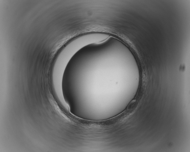 X0000114640581200911101300