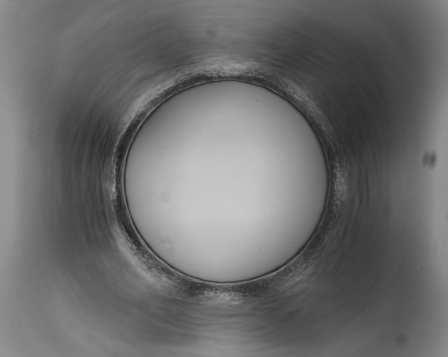 X0000114640582200911101300