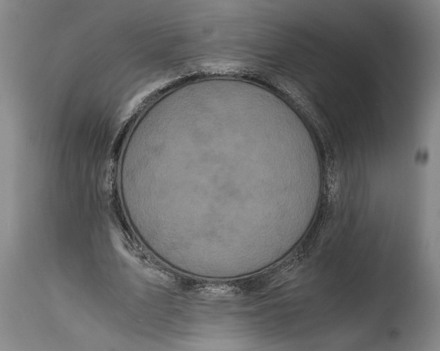 X0000114640583200911101300