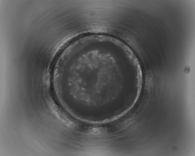 X0000114640584200911101300