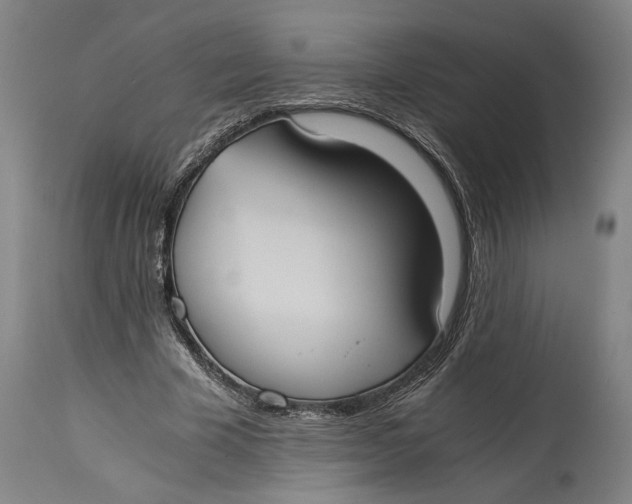 X0000114640585200911101300