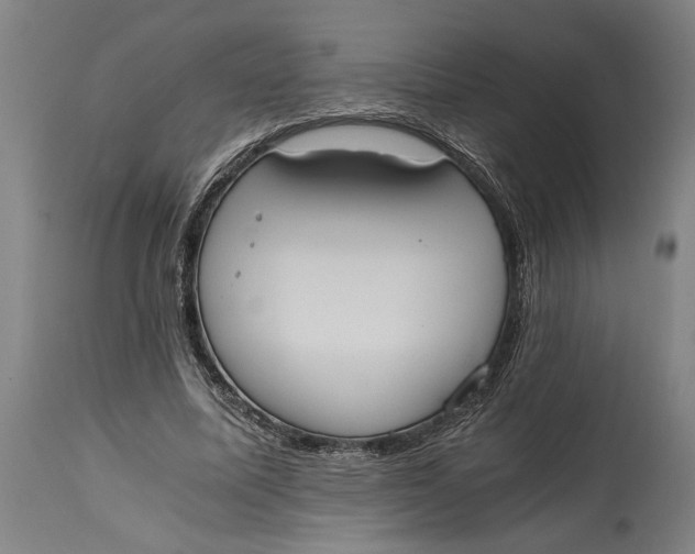 X0000114640587200911101300