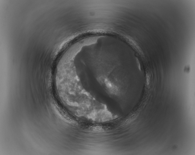 X0000114640588200911101300