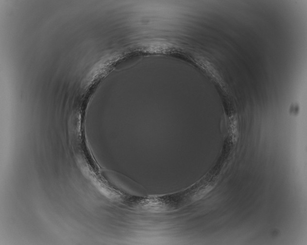 X0000114640589200911101300