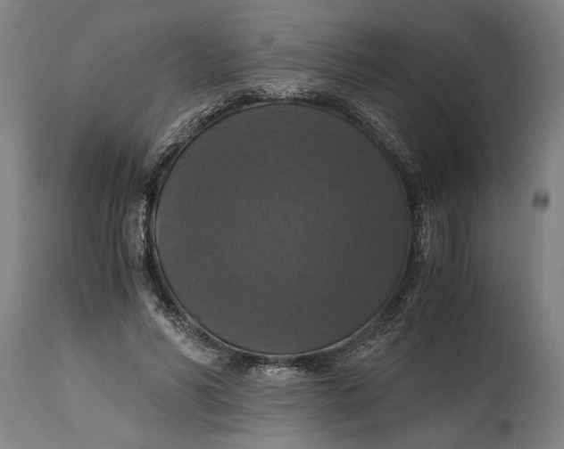 X0000114640590200911101300