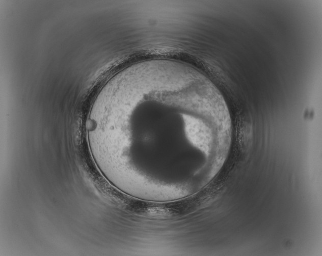 X0000114640591200911101300