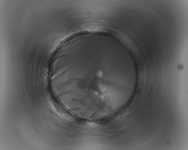 X0000114640592200911101300