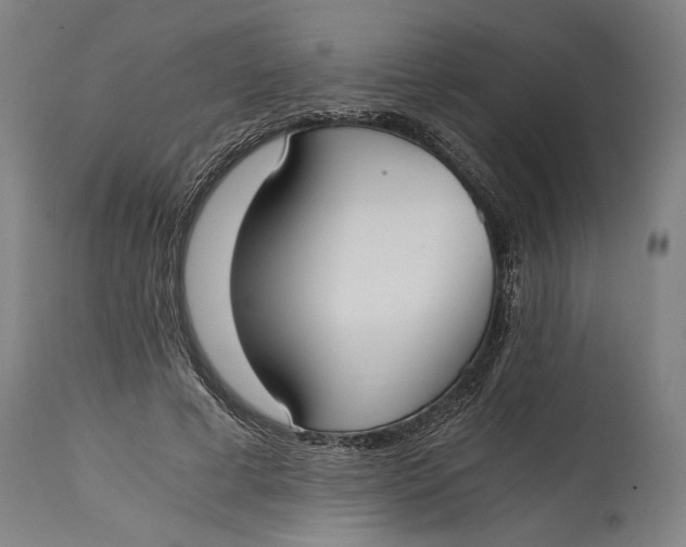 X0000114640593200911101300