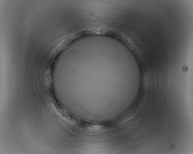X0000114640594200911101300