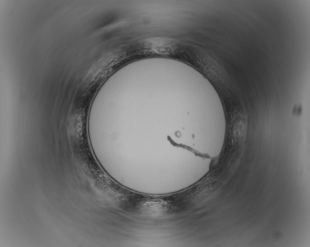 X0000114640595200911101300