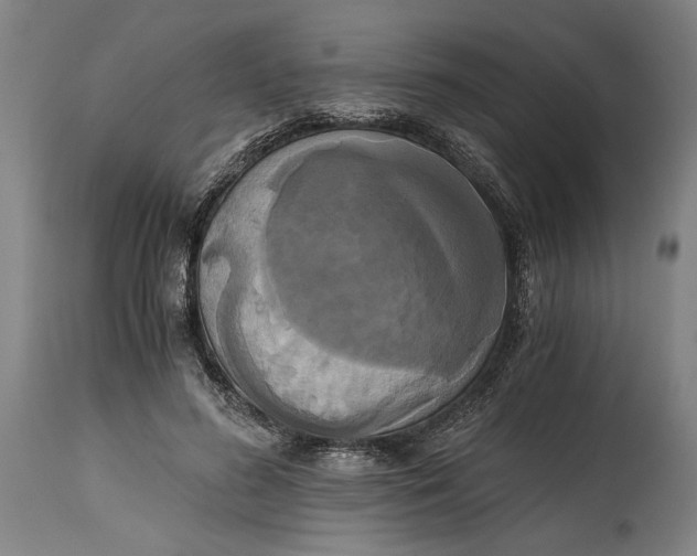X0000114640596200911101300