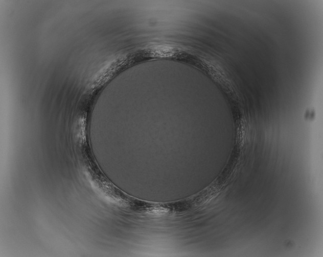 X0000114640598200911101300