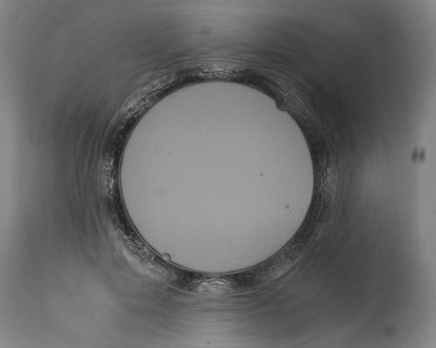 X0000114640599200911101300