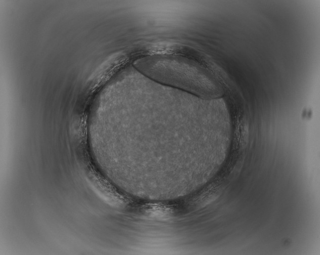 X0000114640601200911101300