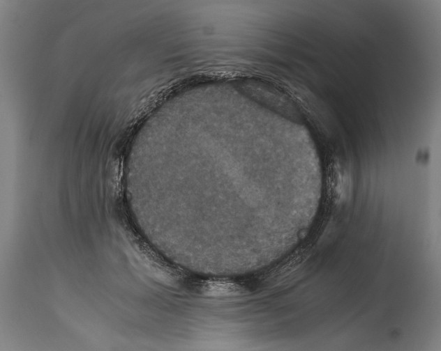 X0000114640605200911101300