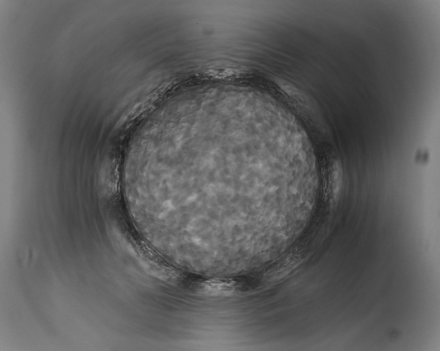 X0000114640606200911101300