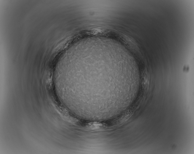 X0000114640607200911101300