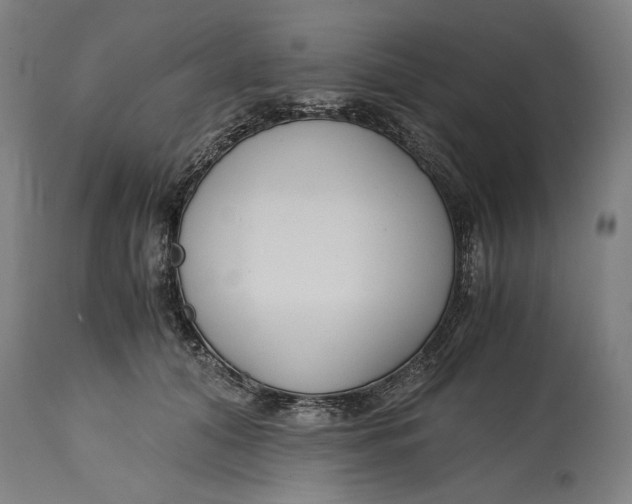 X0000114640608200911101300