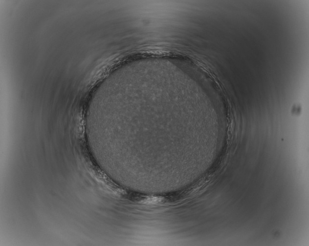 X0000114640609200911101300