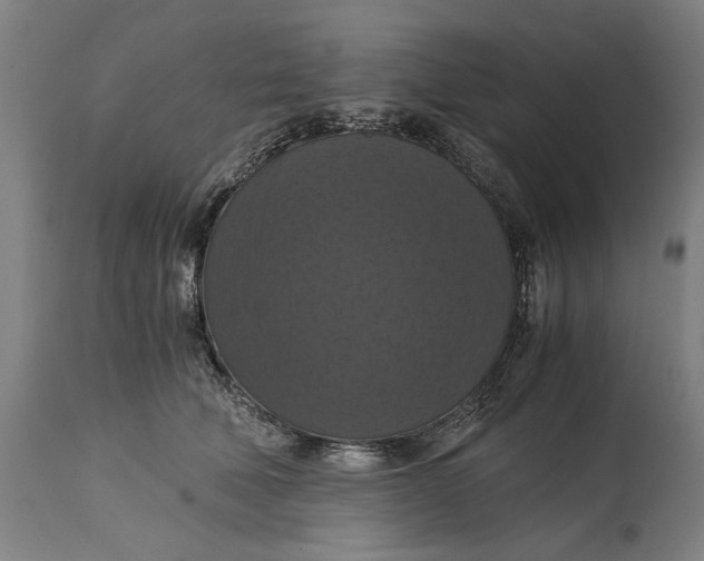 X0000114640610200911101300