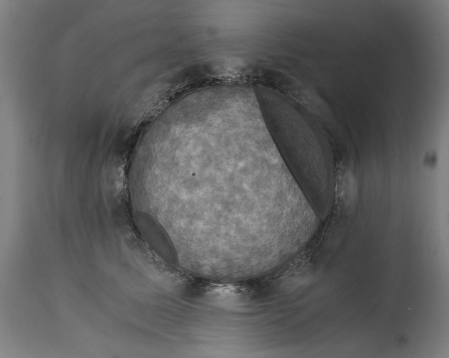 X0000114640611200911101300
