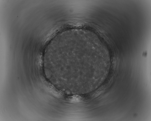 X0000114640612200911101300