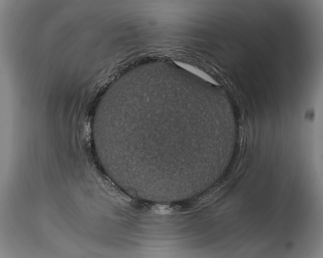 X0000114640613200911101300