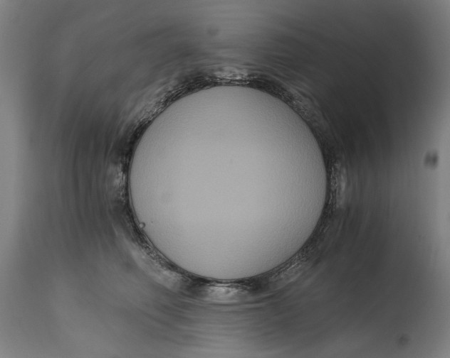 X0000114640614200911101300