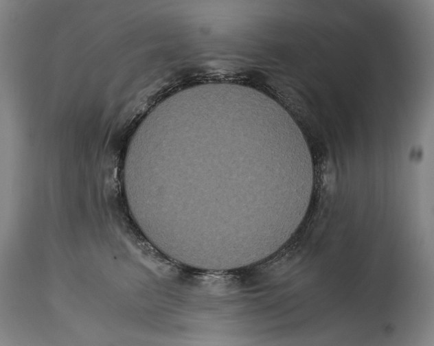 X0000114640615200911101300