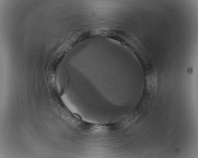 X0000114640617200911101300