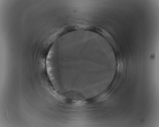 X0000114640621200911101259