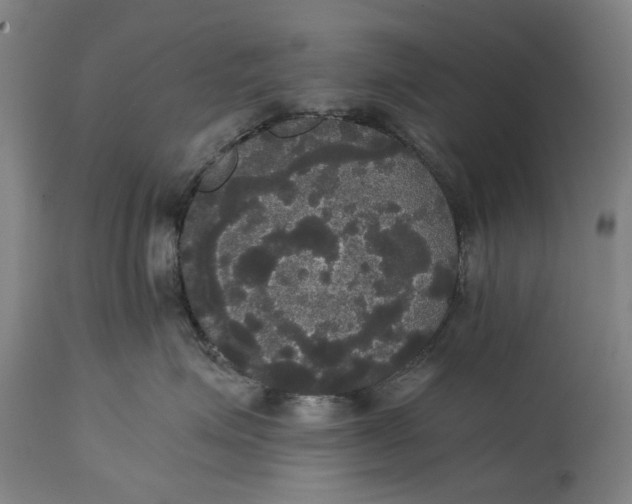 X0000114640623200911101259