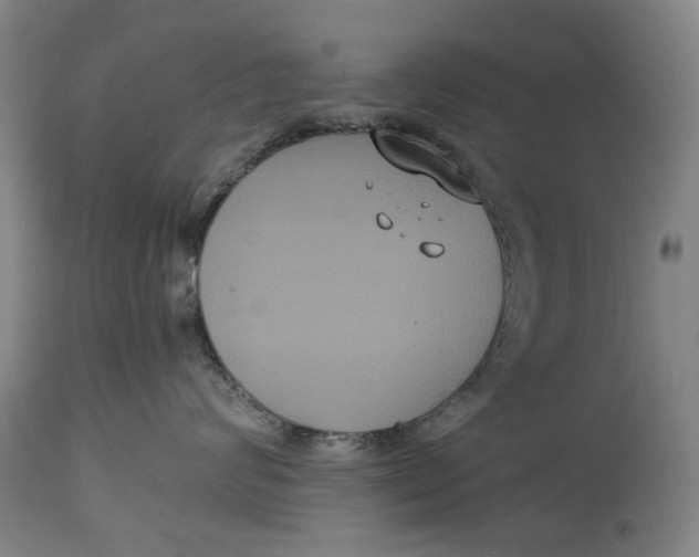 X0000114640624200911101259