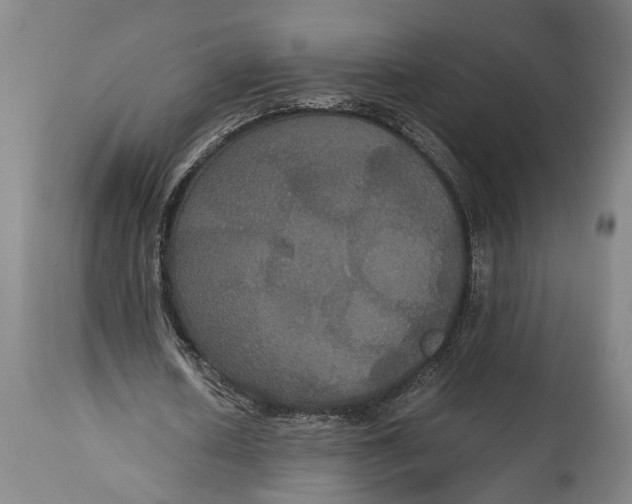 X0000114640626200911101259