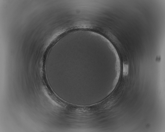 X0000114640627200911101259