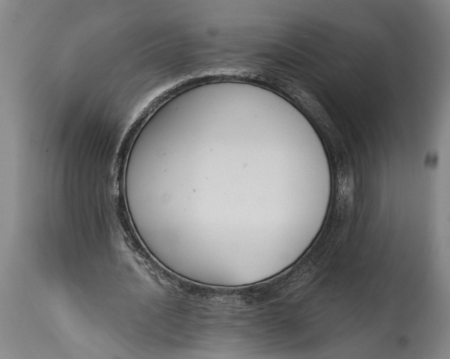 X0000114640628200911101259