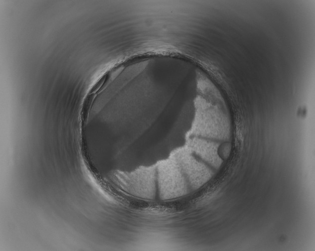 X0000114640630200911101259