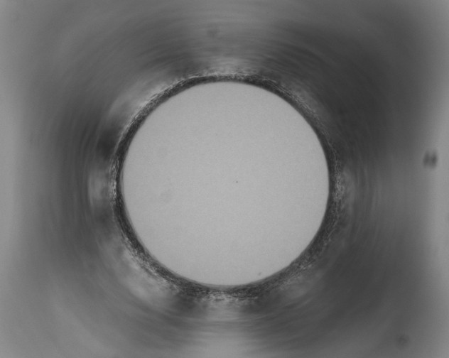 X0000114640632200911101259
