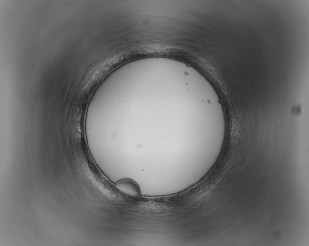 X0000114640633200911101259